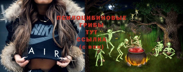 ГАЛЛЮЦИНОГЕННЫЕ ГРИБЫ Алексеевка